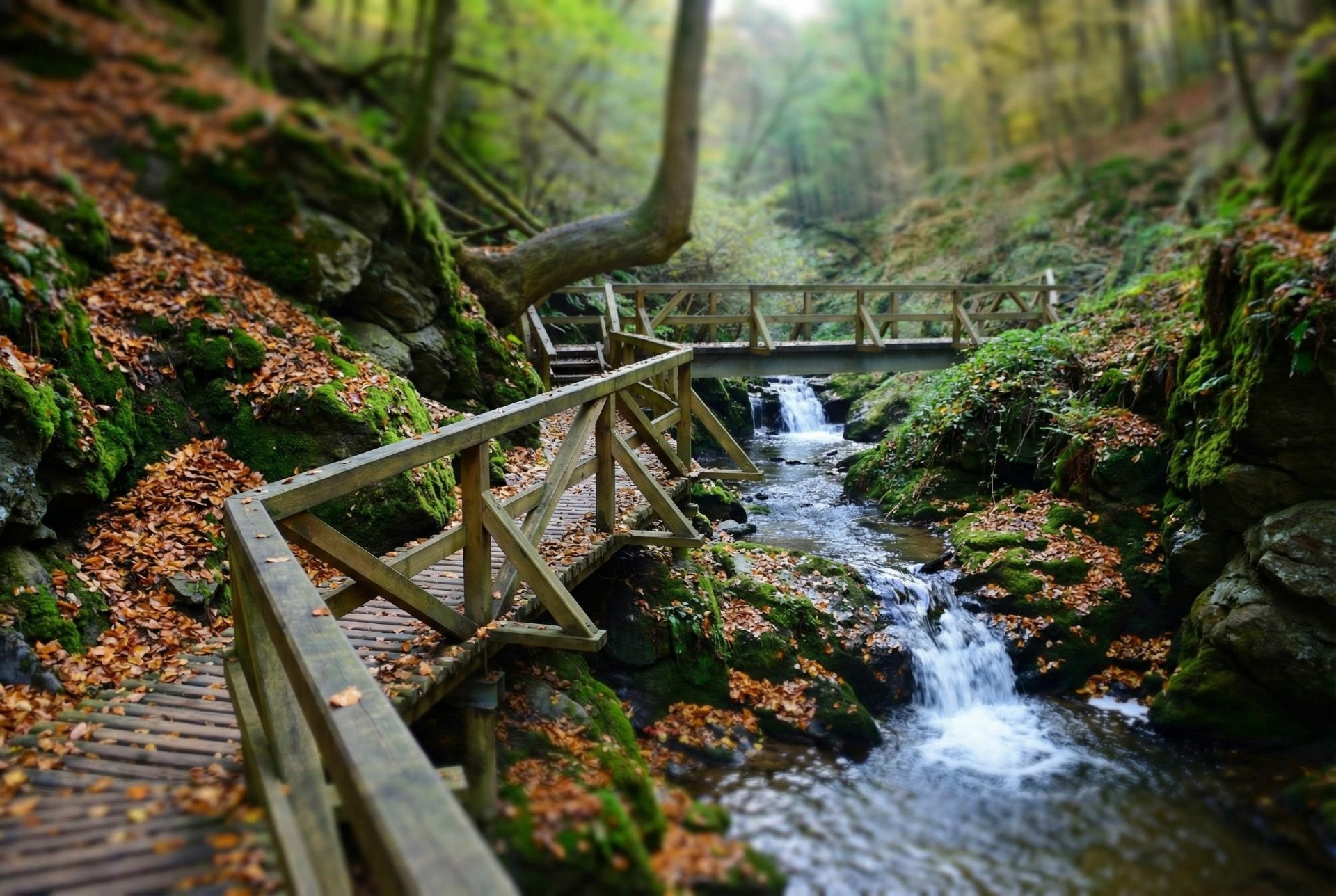 Ehrbachklamm